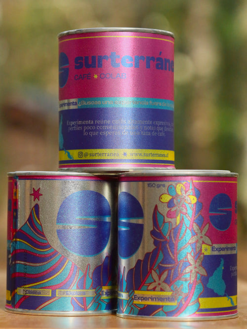 COLOMBIA - BOURBON CHIROSO