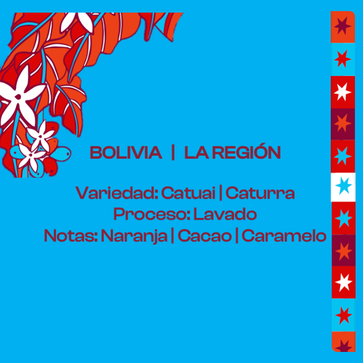BOLIVIA - LA REGIÓN