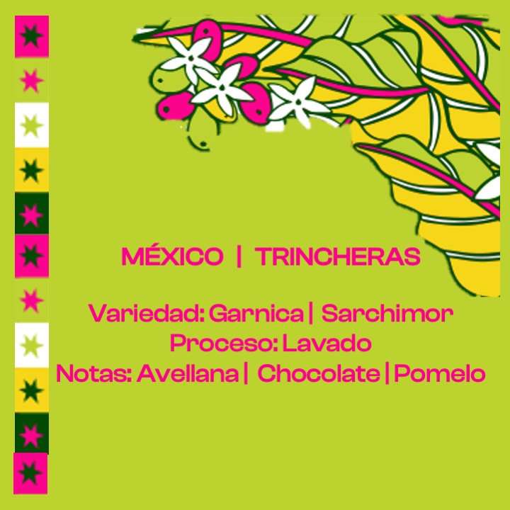 MÉXICO - TRINCHERAS