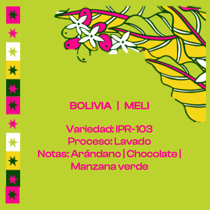 BOLIVIA - MELI